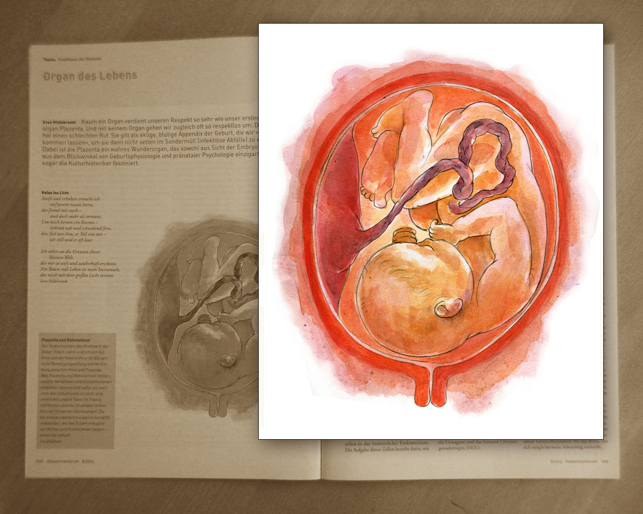 Child in the womb - Kind in Gebärmutter